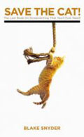 Save the cat Book Cover