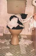 Cat on a toilet with a mess of toilet paper.