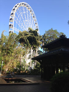 Ferris Wheel.