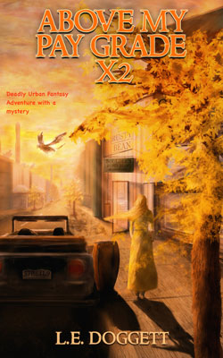 Book Cover: Above my pay grade by LE Doggett