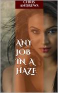 Text: Any Job in a Haze, with an image of a woman looking at the camera